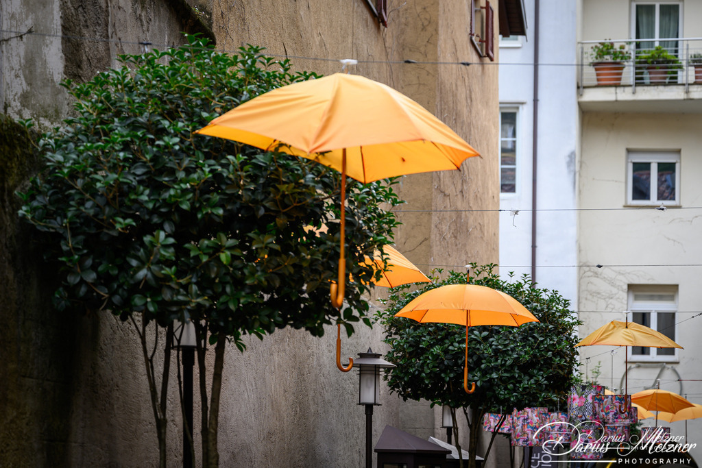 Meran in Südtirol  | Bilder von Meran in Südtirol 