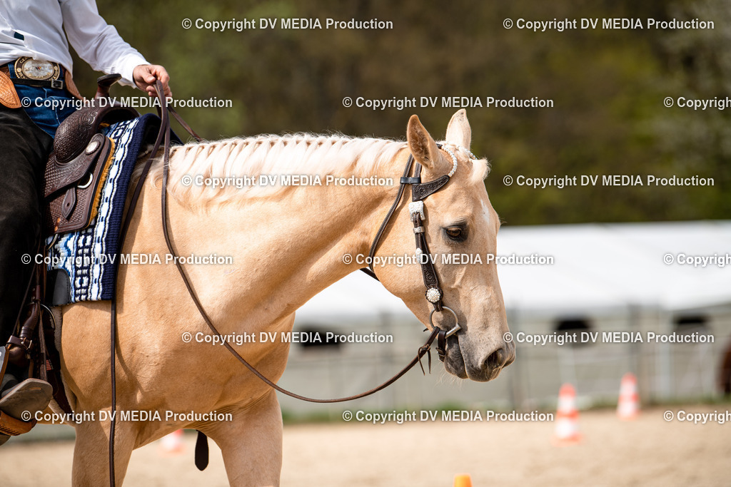 Heiligenwald Tag 1-751 | dv-media-shop - Realisiert mit Pictrs.com