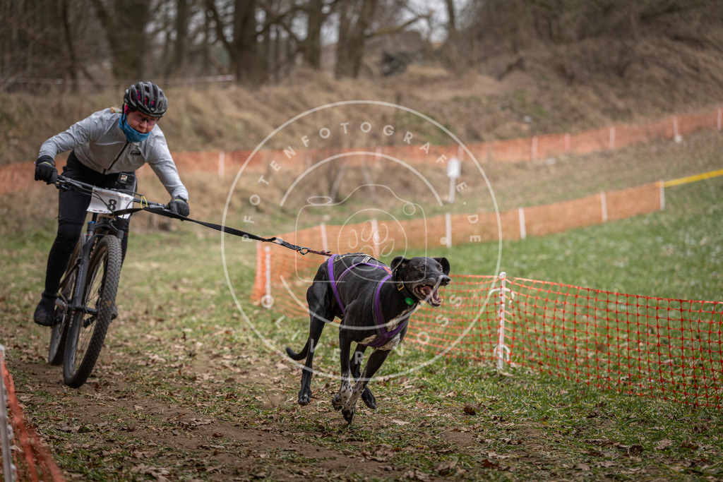 Pfotenfotografie_DV3A6562 | Hundefotografie, Tierfotograf, Pfotenfotografie, Fotoshooting Hund, Hunde Portrait, Hundesport, Hundeportraits, Heideshooting, Hunde, Sportfotograf, Hundefotograf, Turnierhundsport, THS,  - Realisiert mit Pictrs.com