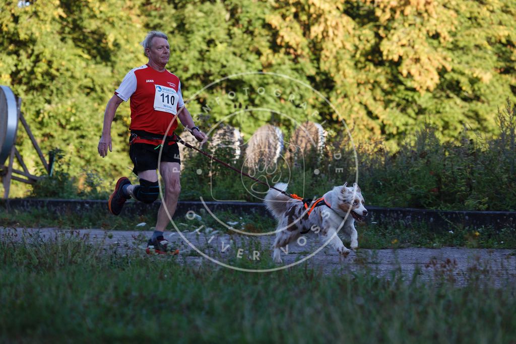 0L8A4614 | Hundefotografie, Tierfotograf, Pfotenfotografie, Fotoshooting Hund, Hunde Portrait, Hundesport, Hundeportraits, Heideshooting, Hunde, Sportfotograf, Hundefotograf, Turnierhundsport, THS,  - Realisiert mit Pictrs.com