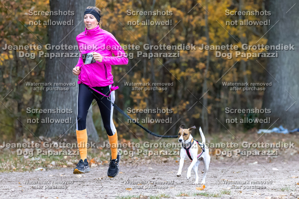 Dog Paparazzi - SD CaniX Championship 2025-653 | Dog Paparazzi Jeanette Grottendiek Fotografie & Videografie - Realisiert mit Pictrs.com