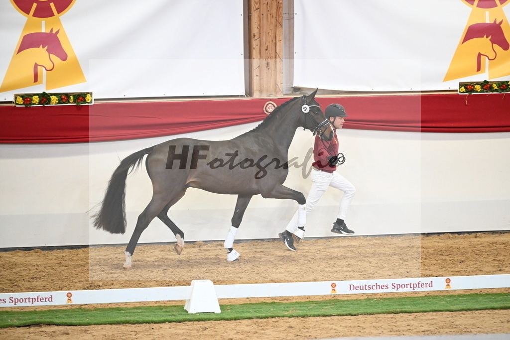 Kat.-Nr. 51 v. Donkey Boy_Lenzen_2250205 | hf-fotografie - Realisiert mit Pictrs.com