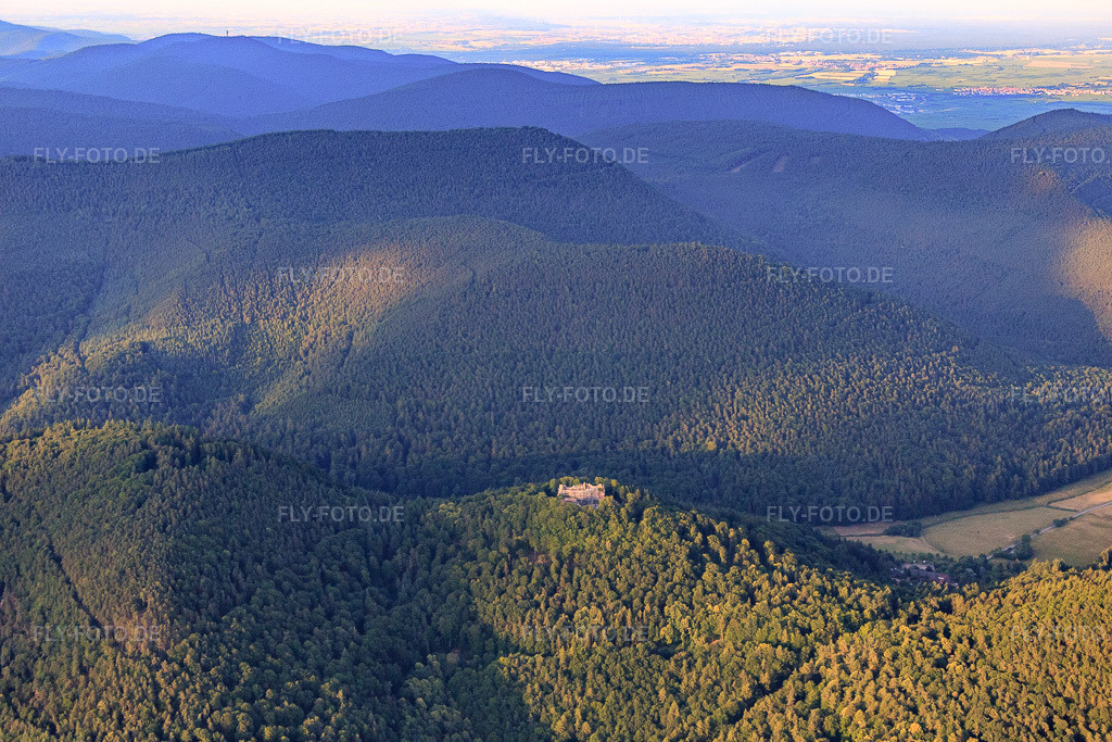 Luftbild: Burgruine Meistersel (eingerüstet) in Ramberg im Bundesland Rheinland-Pfalz in Deutschland. Foto: IMG_082681.jpg vom 25.06.2015 durch Werner Riehm/FLY-FOTO.deBurg Meistersel - (Burg Modeneck / Modenbacher Schloss) bei Ramberg