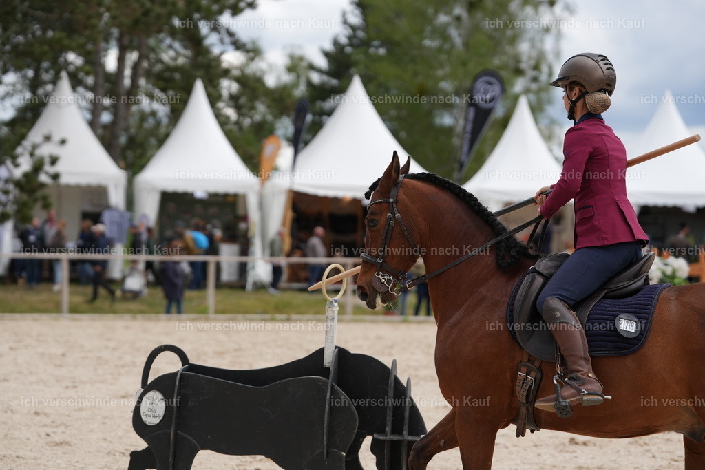PI26_ST_Jan_Picutures7C_08214.JPG | working equitationturnier fotograf videograf stoibphotography marixx film working equitation deutschland reitsport turnierfotografie eventfotografie equestrian events