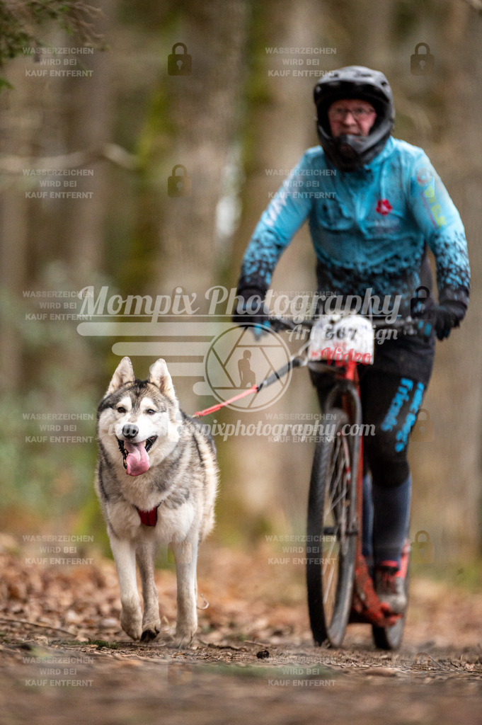 SPA_2023_DIM_Scooter-42 | PayLife