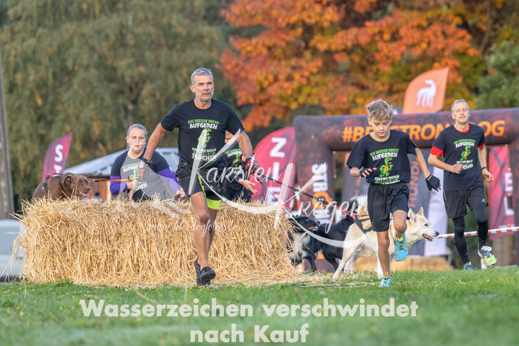 0858_ZZ91920-Bearbeitet | kk-dogfotos