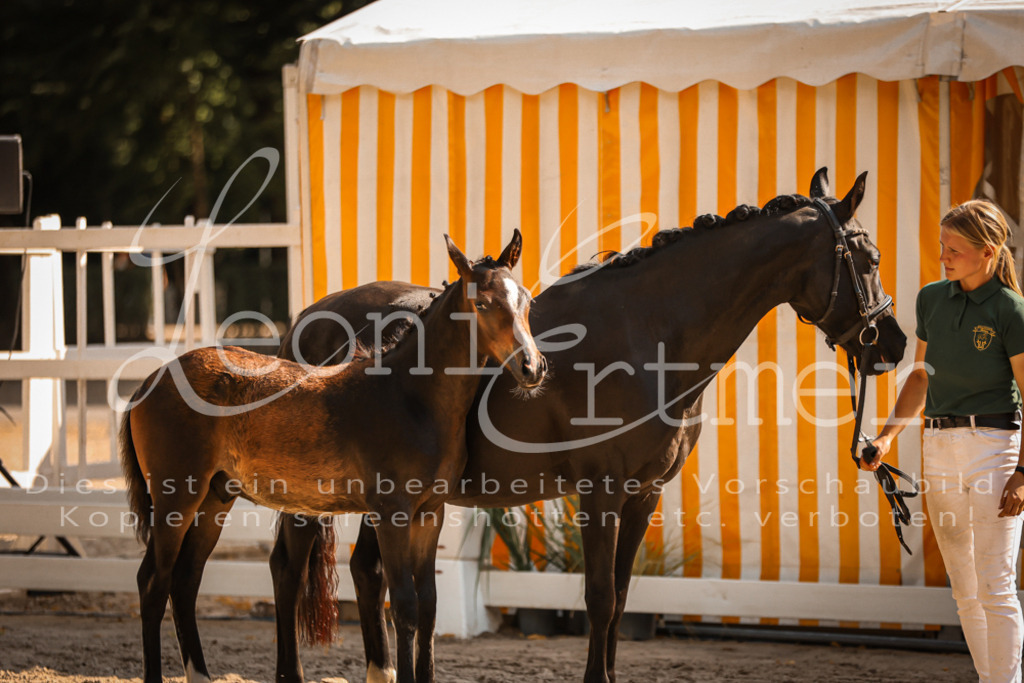 11.DoRP00053 | Leoni Ertmer Photography - Realisiert mit Pictrs.com