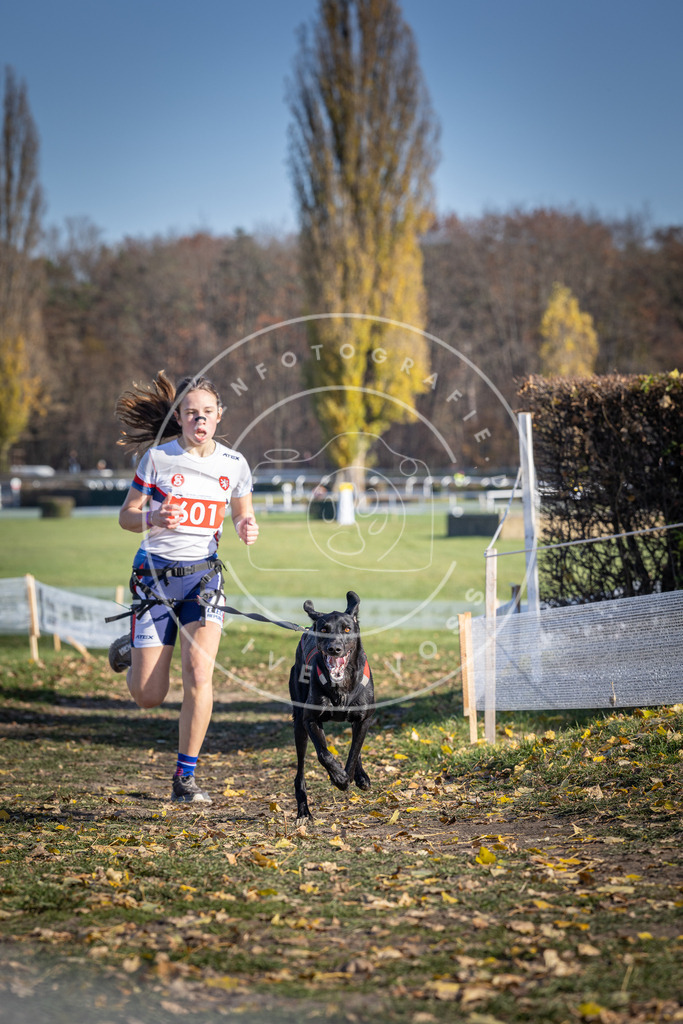 CaniXpix_DV3A9499 | Hundefotografie, Tierfotograf, Pfotenfotografie, Fotoshooting Hund, Hunde Portrait, Hundesport, Hundeportraits, Heideshooting, Hunde, Sportfotograf, Hundefotograf, Turnierhundsport, THS,  - Realisiert mit Pictrs.com