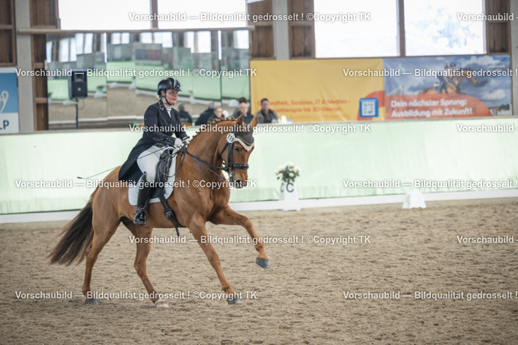 _D5A6506 | Emotionale Pferde- & People-Fotografie rund um Heidelberg, Leimen & Umgebung. Natürliche Fotos von Pferd, Mensch & Familie. Jetzt Termin sichern!