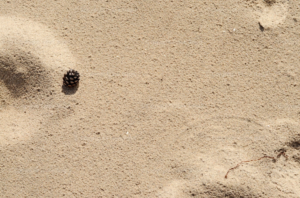 Tannenzapfen im Sand | dataxp - Realisiert mit Pictrs.com
