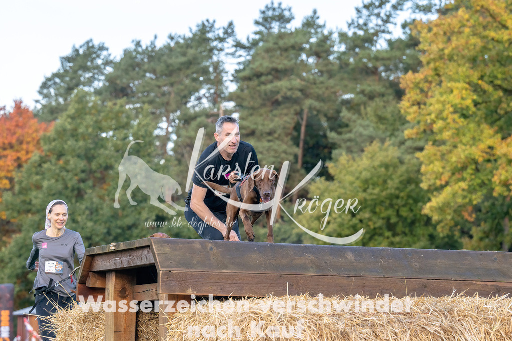 0856_ZZ91783-Bearbeitet | kk-dogfotos