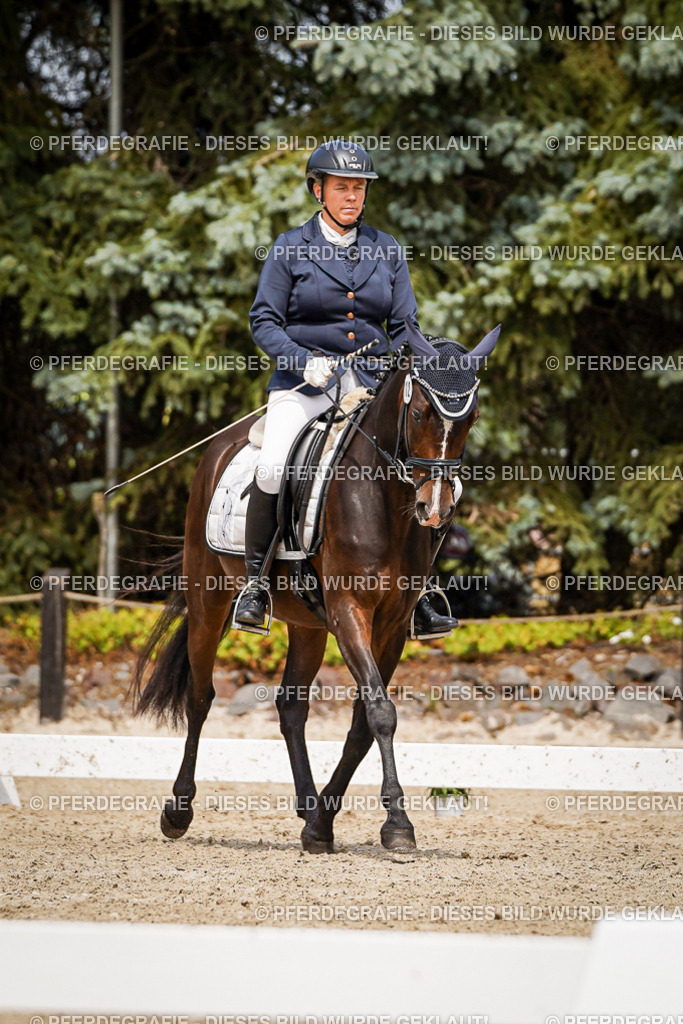 DSC04404 | Pferdegrafie