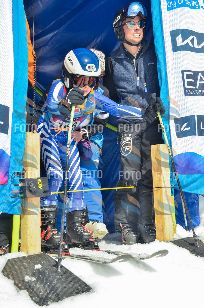 _ELE6496 | holidayphoto