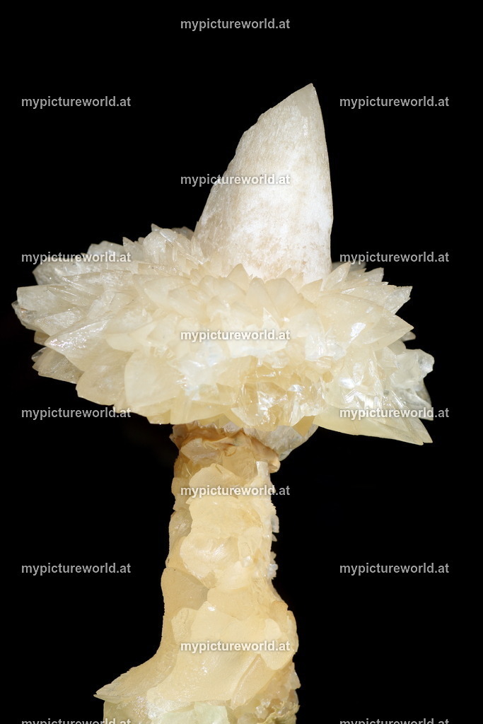 Aragonit-001 | Das Bilderarchiv über Tiere, Planzen und Landschaften. In der Bilddatenbank finden Sie ein große Auswahl an hochwertigen Bilder für Ihre Werbung - Realisiert mit Pictrs.com