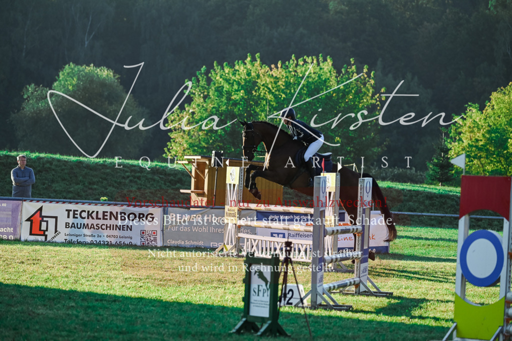 DSC_3825 | Pferde- und Turnierfotografie in Westsachsen. Pferdeportraits, Auftragszeichnungen und intuitive Kunst.