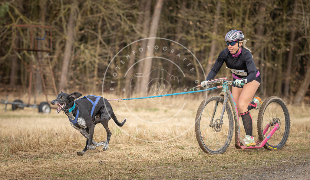 DV3A4669 | Hundefotografie, Tierfotograf, Pfotenfotografie, Fotoshooting Hund, Hunde Portrait, Hundesport, Hundeportraits, Heideshooting, Hunde, Sportfotograf, Hundefotograf, Turnierhundsport, THS,  - Realisiert mit Pictrs.com