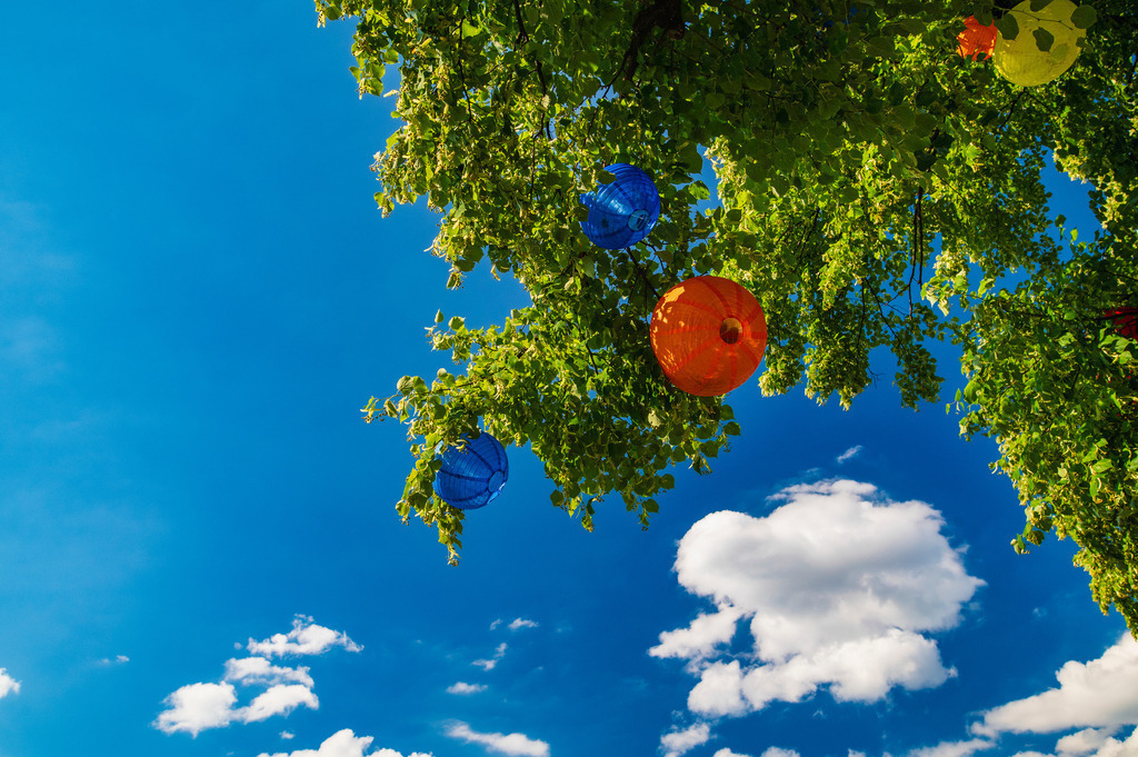 2024_07_11_HH-ALSTER_MCP1391 | Hochwertig gedruckte Fotografien für die Wand, als Kalender und zum Verschenken. Hamburg & Norddeutschland und überall wo ich mit der Kamera unterwegs war.