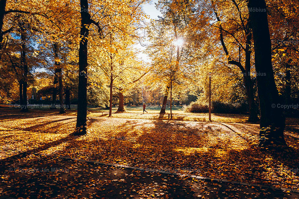 Clara Park | Der Clara-Zetkin-Park in Leipzig ist ein beliebter Ort für Natur, Sport und Erholung – perfekt für Spaziergänge, Jogging und entspannte Stunden im Grünen. - Realisiert mit Pictrs.com