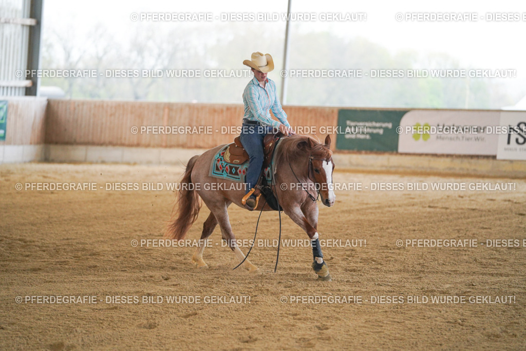 DSC08633 | Pferdegrafie