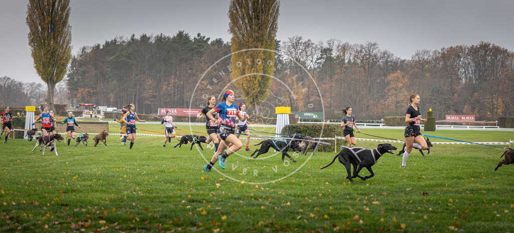CaniXpix_DV3A8757 | Hundefotografie, Tierfotograf, Pfotenfotografie, Fotoshooting Hund, Hunde Portrait, Hundesport, Hundeportraits, Heideshooting, Hunde, Sportfotograf, Hundefotograf, Turnierhundsport, THS,  - Realisiert mit Pictrs.com