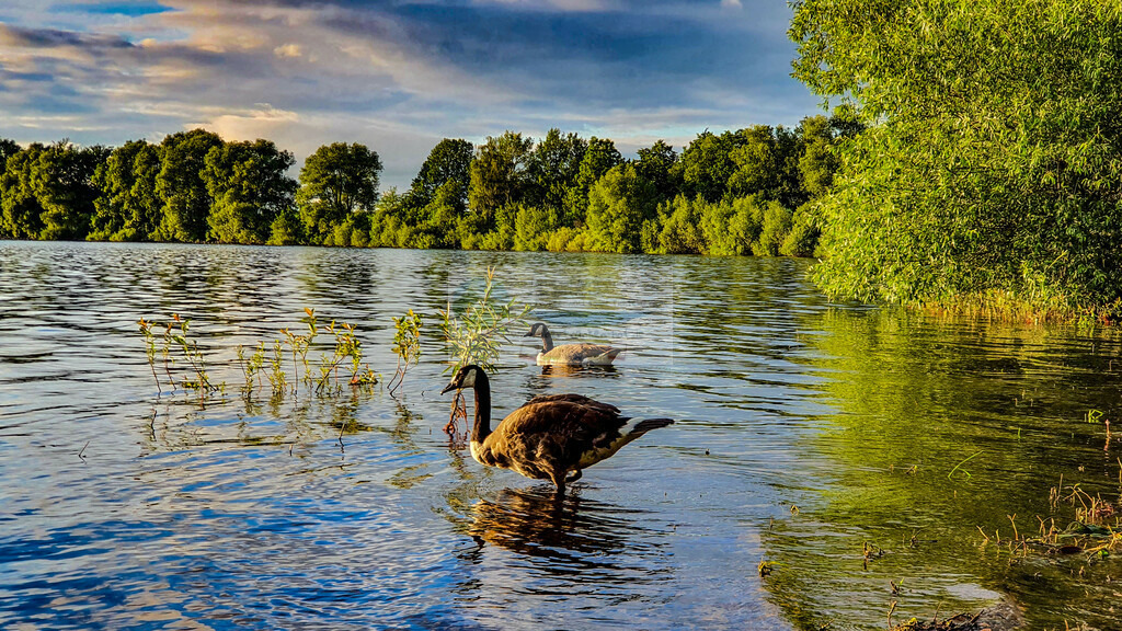 Sonnenuntergang am Förmitzspeicher | Impressionen rund um Hochfranken - Frankenwald - Fichtelgebirge - Realisiert mit Pictrs.com
