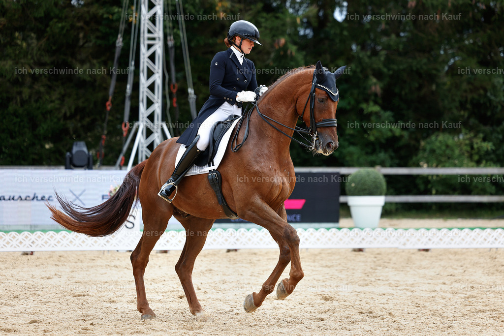 11-141-Dressur S___-Marixx-1838 | working equitationturnier fotograf videograf stoibphotography marixx film working equitation deutschland reitsport turnierfotografie eventfotografie equestrian events