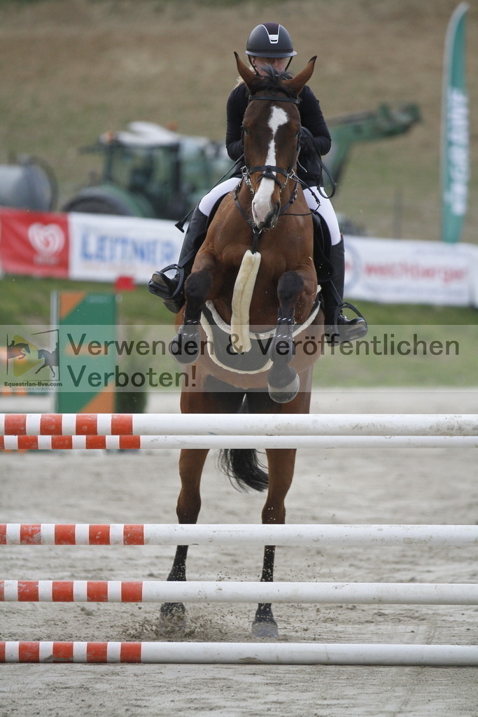 _MG_5661 | equestrian-live-com