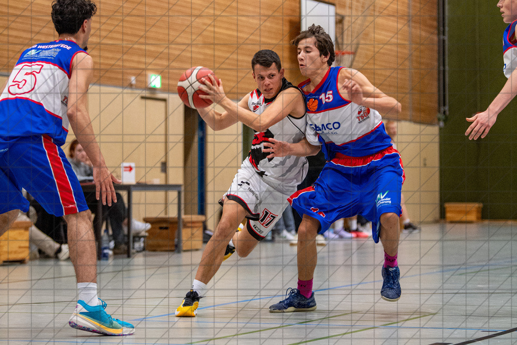 2. RL West | 05.10.2024 | Bad Essen vs. TSG Westerstede 2 | 2. RL West | 05.10.2024 | Bad Essen vs. TSG Westerstede 2 - - - - - CREDIT, www.bullenfotos.de, Martin König, Hörner Weg 40, D-49078 Osnabrück, +4917663732967, Nutzung und Weitergabe nur zu den vereinbarten Zwecken. Presseanfragen an Ersteller. Alle Rechte beim Ersteller. - - - - - - Realisiert mit Pictrs.com