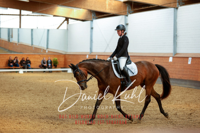 _62_4741 | Turniersportfotografie; Pferdefotografie; Dressurfotografie