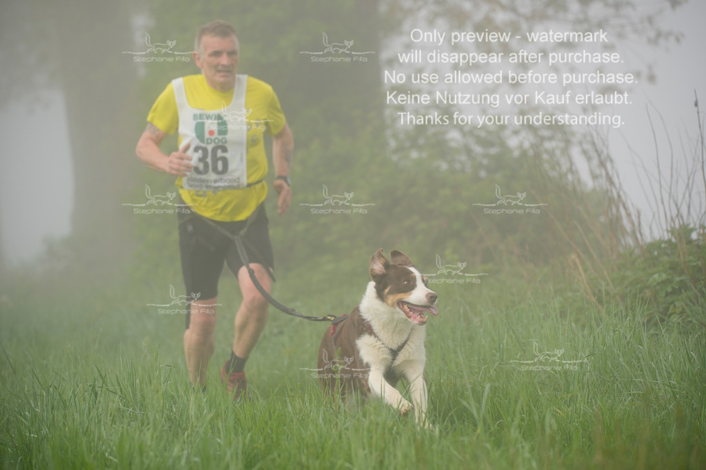 SA_GL2-197 | stephaniefillaphotographie - Realisiert mit Pictrs.com