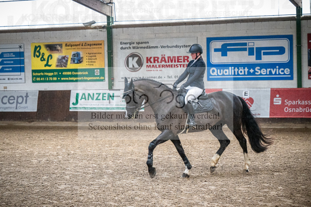 DOS_0197 | Entdecke hochwertige Reitturnierfotos von Foto Oger. Professionell, emotional und authentisch – jetzt Lieblingsmomente im Shop bestellen.Deutschlandweite Turnierfotografie. - Realisiert mit Pictrs.com