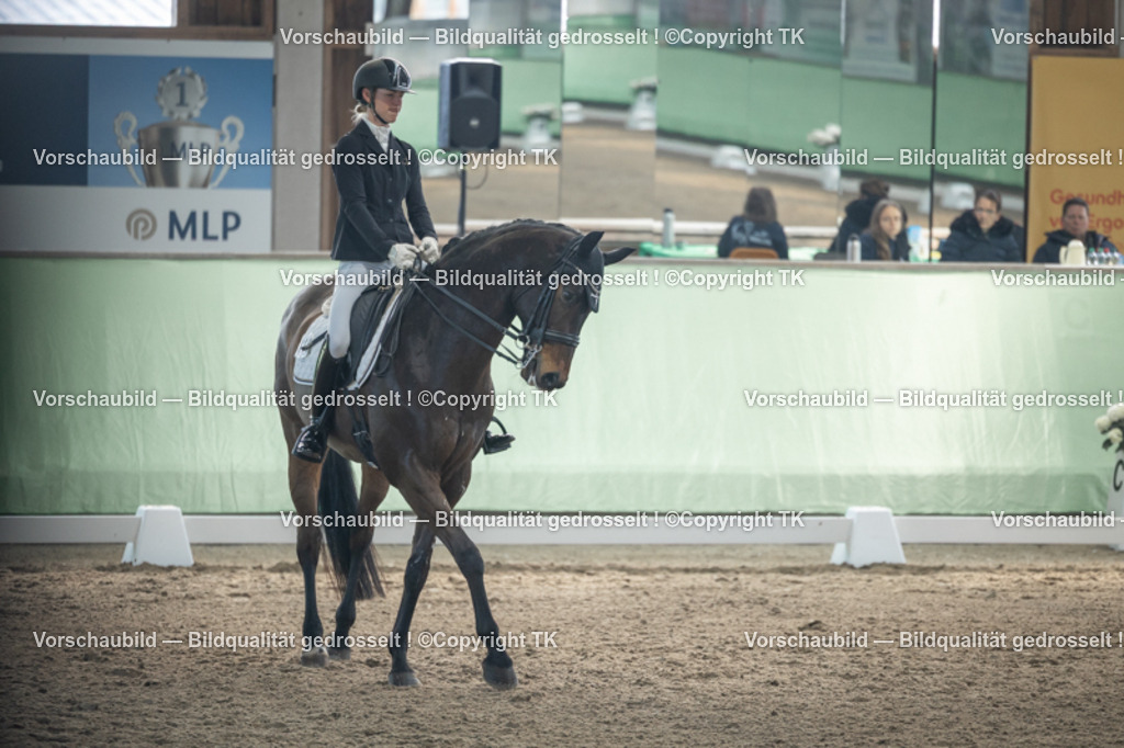 _D5A4480 | Emotionale Pferde- & People-Fotografie rund um Heidelberg, Leimen & Umgebung. Natürliche Fotos von Pferd, Mensch & Familie. Jetzt Termin sichern!
