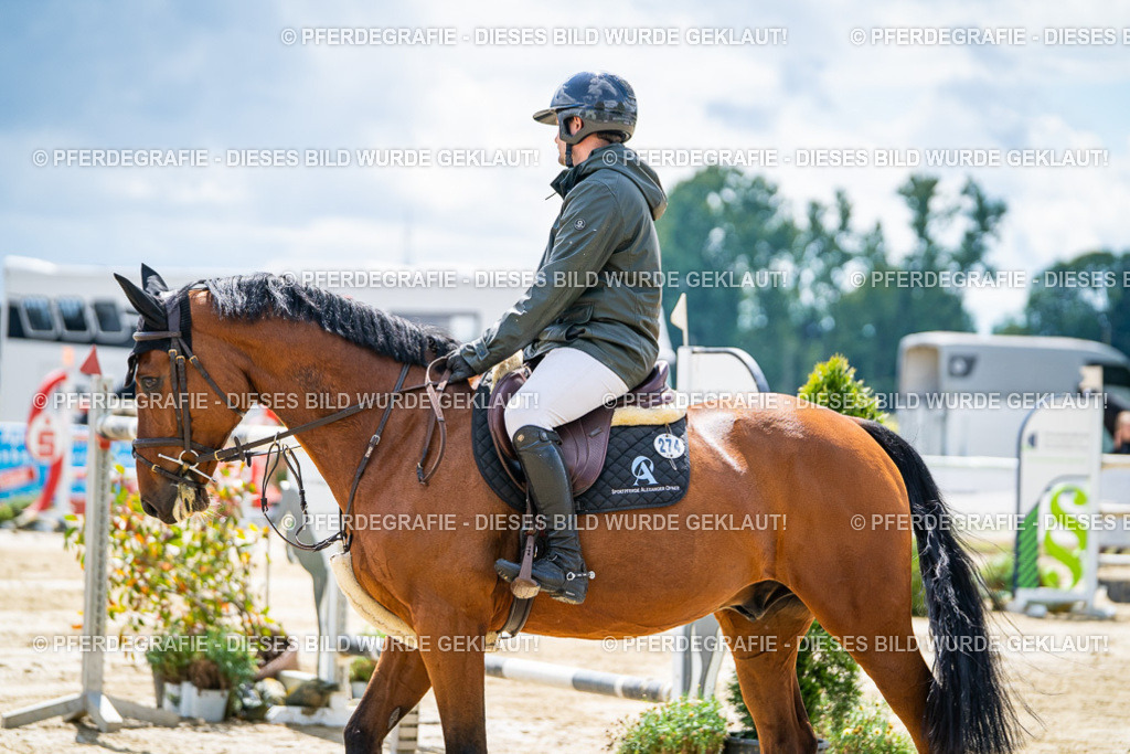 DSC05230 | Pferdegrafie