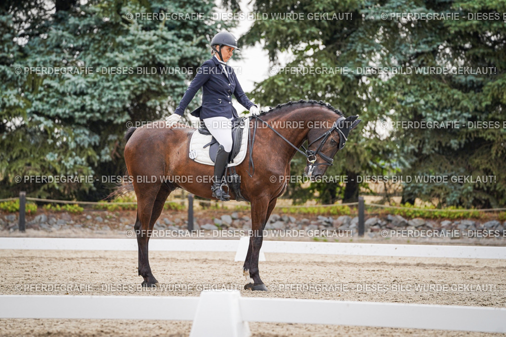 DSC00301 | Pferdegrafie