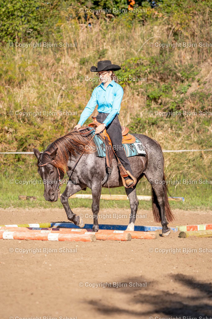 SAL02500 | BS-foto