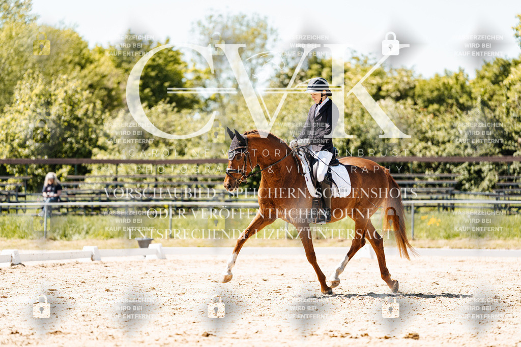 CK905969 | Turnierfotografie Pferdefotografie Trier Rheinland-Pfalz Pferdesport Reitsport Tierfotografie Sportfotografie Pferdevideo Pferdevideografie Equestrianvideography equestrianphotography  - Realisiert mit Pictrs.com