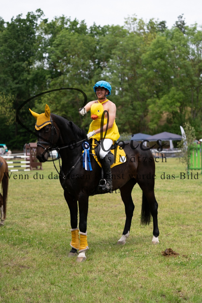 A7V07125 | Pferdefotograf