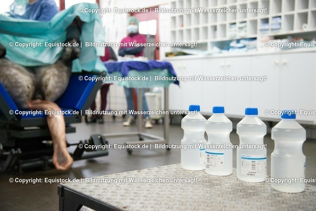 20191022_Kolik_OP_0019 | equistock