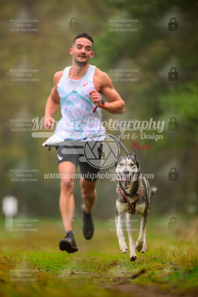 MompixPhotography_Bischwiller2025_Canicross-7 | mompixphotography