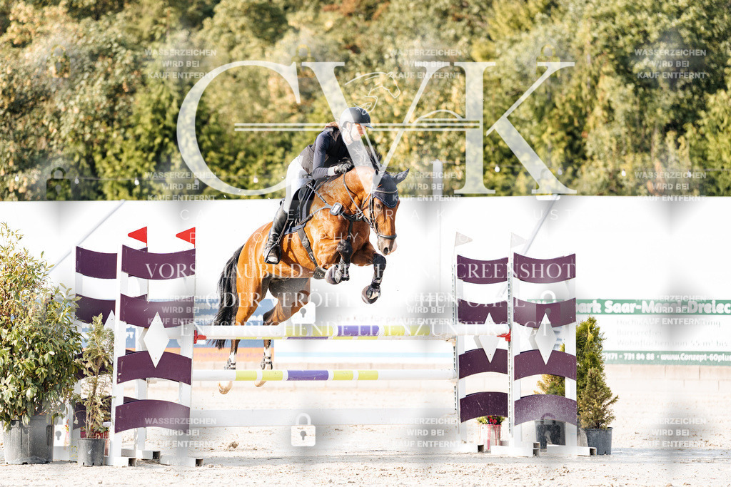 CK903368 | Turnierfotografie Pferdefotografie Trier Rheinland-Pfalz Pferdesport Reitsport Tierfotografie Sportfotografie Pferdevideo Pferdevideografie Equestrianvideography equestrianphotography  - Realisiert mit Pictrs.com