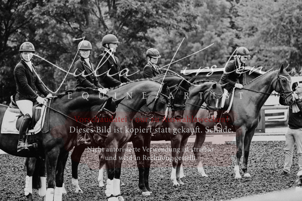 DSC_2789 | Pferde- und Turnierfotografie in Westsachsen. Pferdeportraits, Auftragszeichnungen und intuitive Kunst.