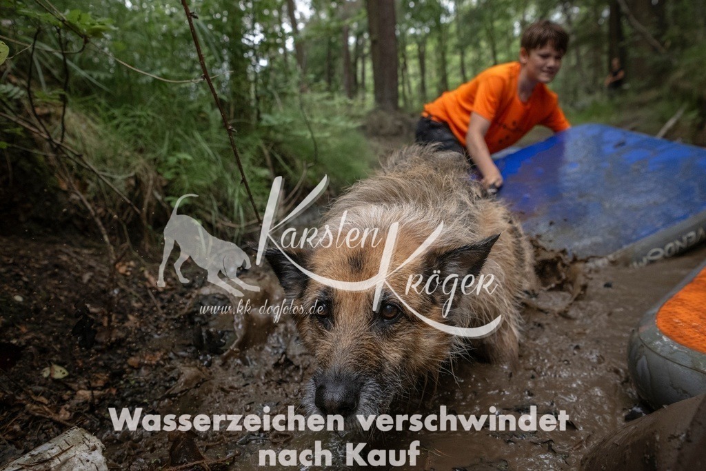 0909_ZZ90524T | kk-dogfotos