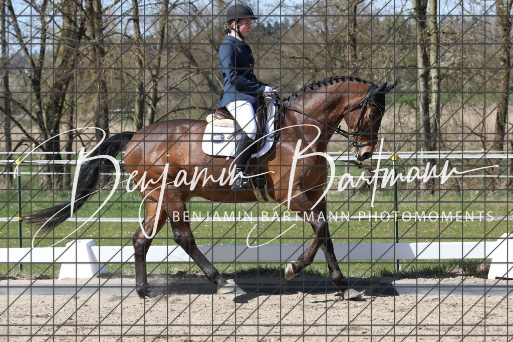 AZ2A4518 | Benjamin Bartmann Photomoments