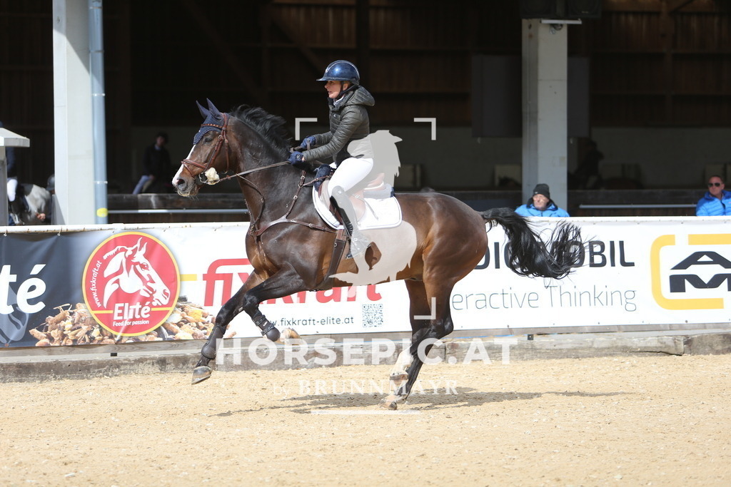 DL2Q9429 | Willkommen bei Brunnmayr - Design & Fotografie – Ihrem Spezialisten für Reitturniere und Pferdeveranstaltungen in Oberösterreich, Salzburg und Bayern! Seit über 17 Jahren sind wir leidenschaftlich dabei.