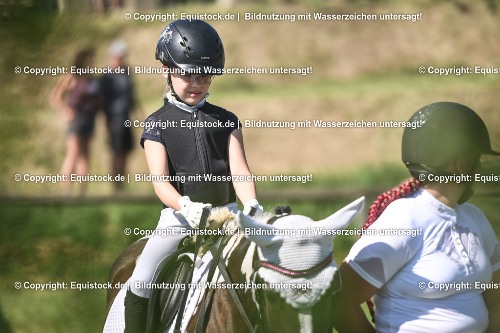20230910_11-5_Führzügel-WB_0017 | Foto: Thomas Hartig