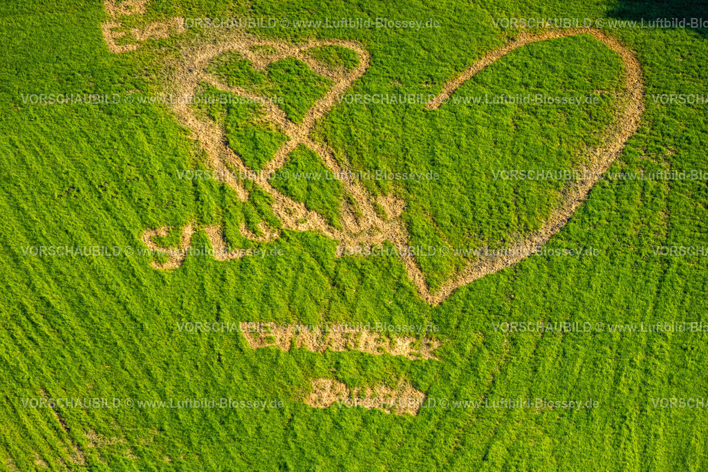 Velbert240811575Langenberg | Luftbild, zwei große Herzen auf einer Wiese, Bonsfelder Straße, Oberbonsfeld, Velbert, Ruhrgebiet, Nordrhein-Westfalen, Deutschland