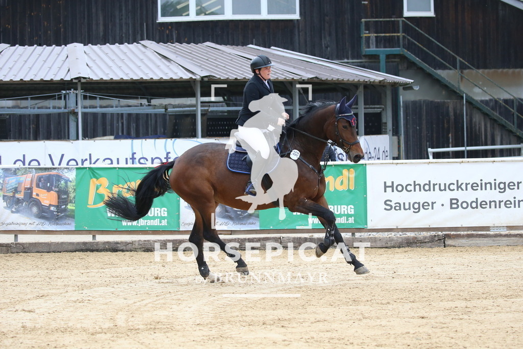 DL2Q3201 | Willkommen bei Brunnmayr - Design & Fotografie – Ihrem Spezialisten für Reitturniere und Pferdeveranstaltungen in Oberösterreich, Salzburg und Bayern! Seit über 17 Jahren sind wir leidenschaftlich dabei.