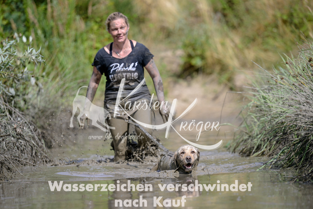 1623_ZZ95741 | kk-dogfotos