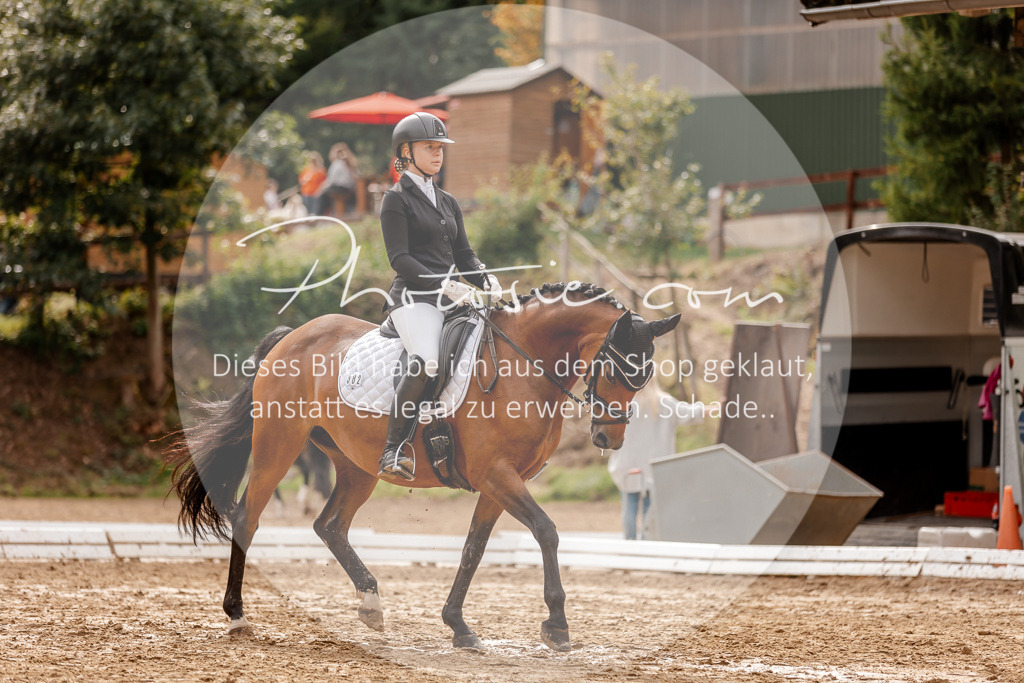 3I6A7426 | Stimmungsvolle Portraits und Reitsportfotografie im Ruhrgebiet und im Münsterland.

Pferdefotografie, Hundefotografie, Tierfotografie, Reportagen, Portraits von Tier und Mensch, Turnierfotografie in Bochum, Recklinghausen, Marl, Haltern am See, Dülmen.. - Realisiert mit Pictrs.com