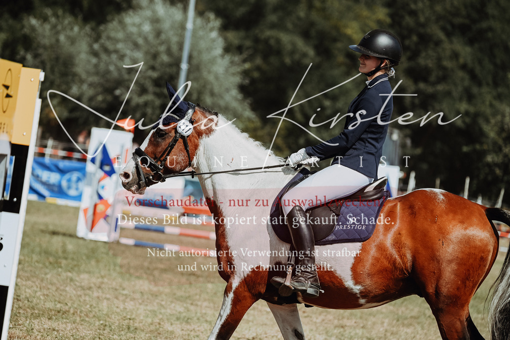 DSC_9979 | Pferde- und Turnierfotografie in Westsachsen. Pferdeportraits, Auftragszeichnungen und intuitive Kunst.